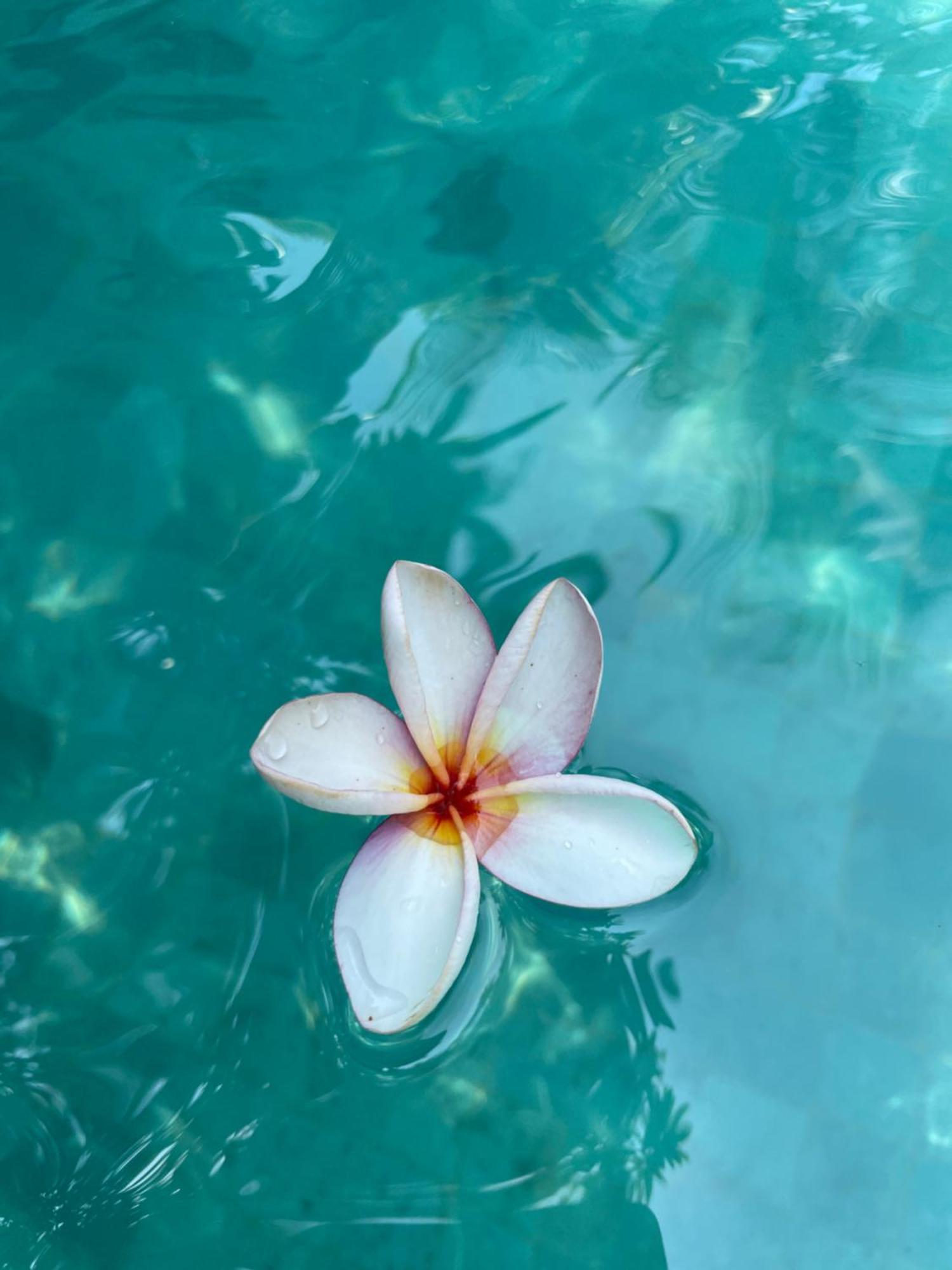 Umakayu Joglo Villa Canggu - Boutique Hotel 외부 사진